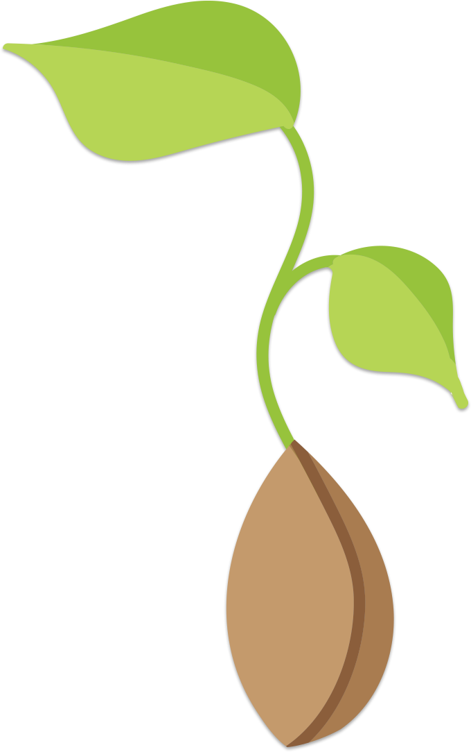 Places You Can Find Seeds *walmart *amazon *lowes - Places You Can Find Seeds *walmart *amazon *lowes (680x1084)