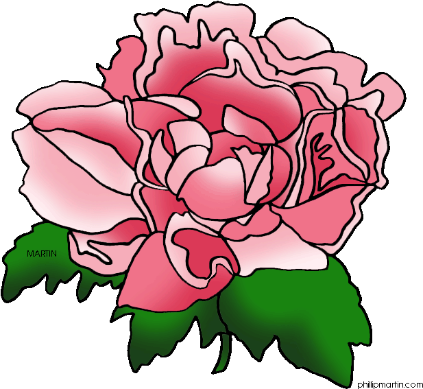 Other Popular Clip Arts - Peony Flower Clip Art (648x610)