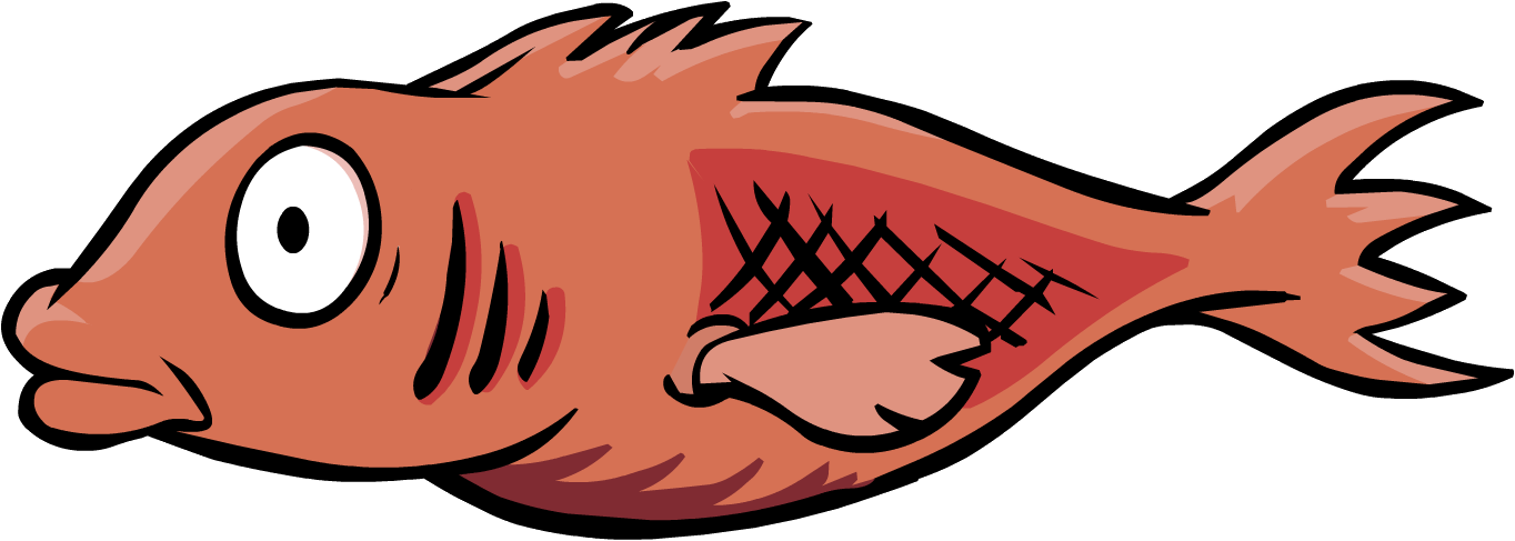 Mullet - Fish From Club Penguin (1364x487)