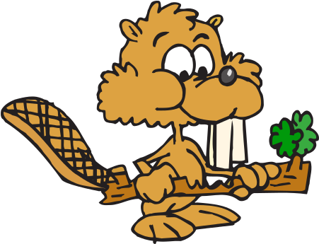 Our Modern Society Is Obsessed With Wealth, Youth, - Castor (458x352)