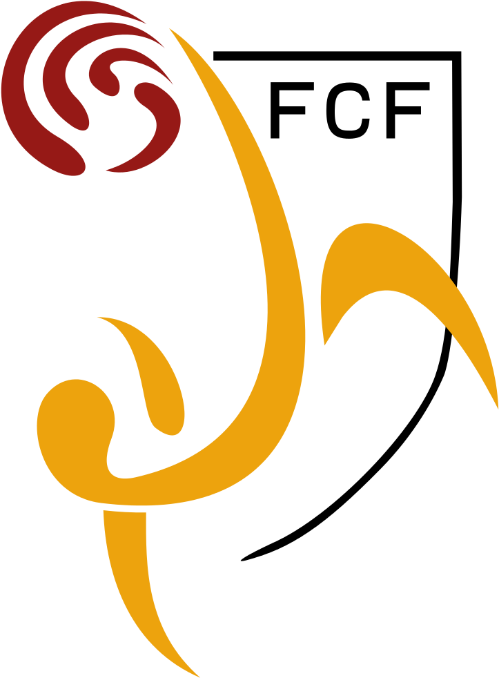 Catalonia National Football Team - Catalonia National Football Team Logo (745x1024)