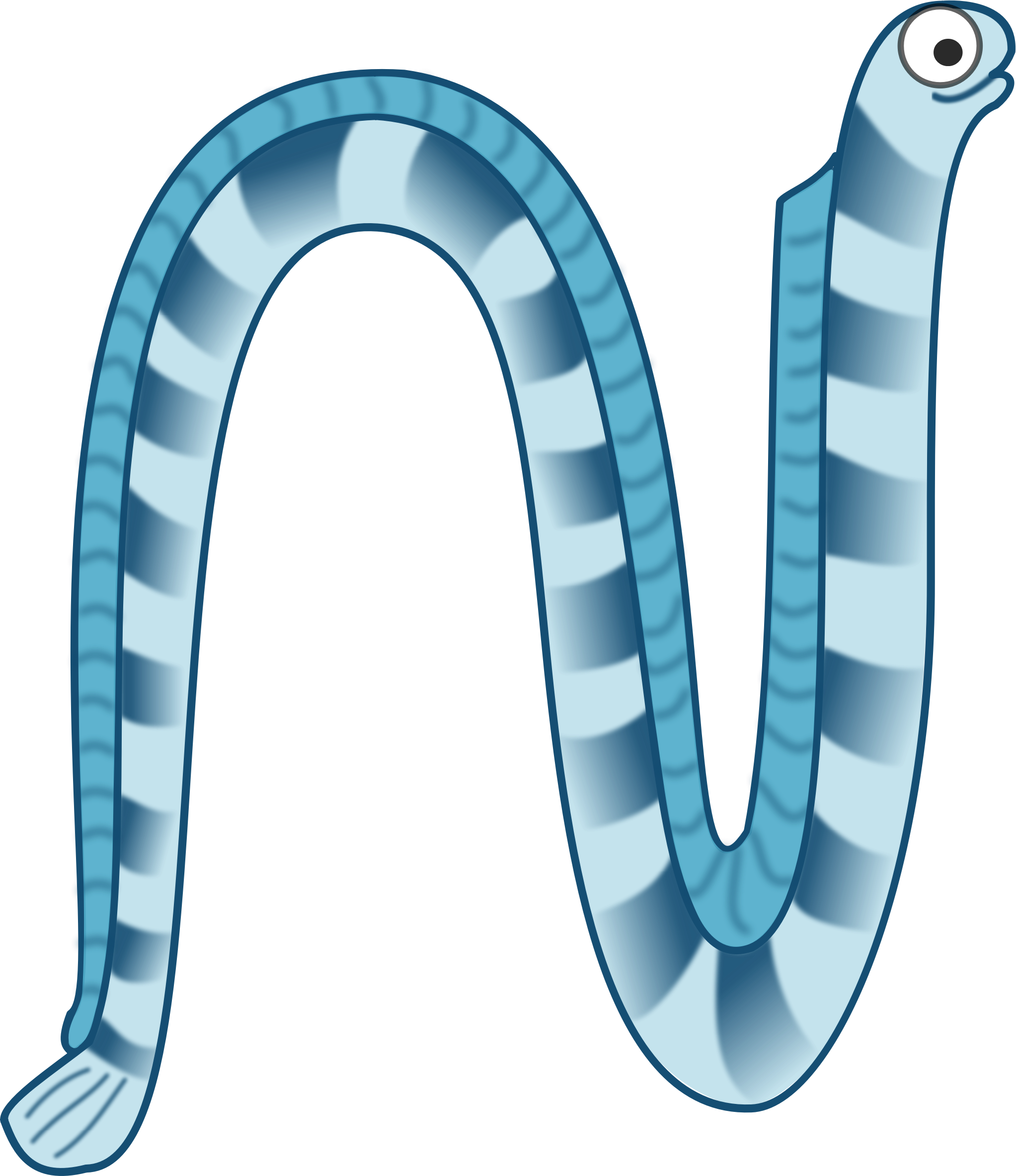Sea Snake - Draw A Sea Snake (2045x2366)