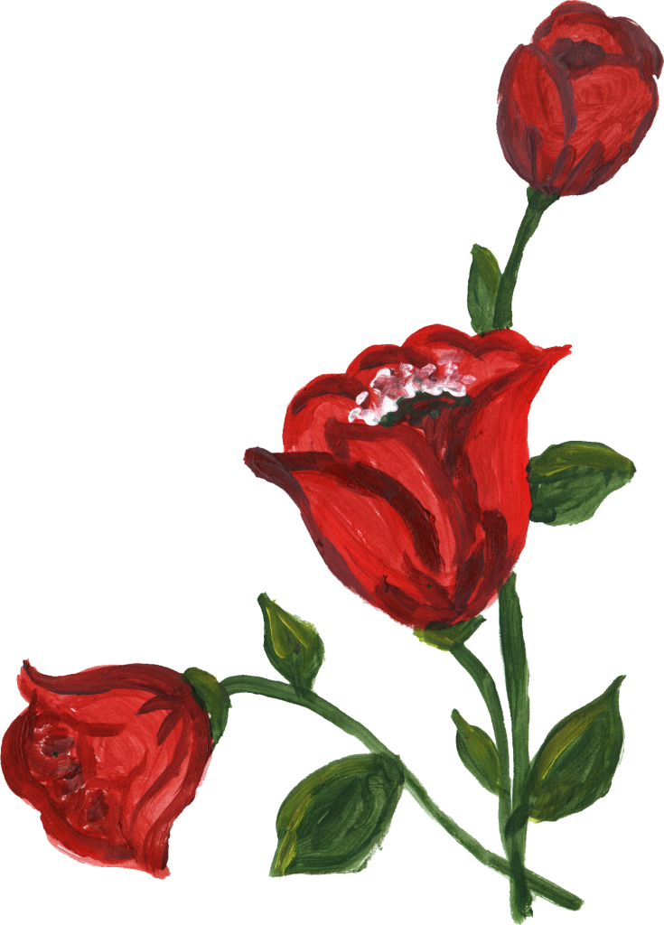 Png File Size - Garden Roses (735x1024)