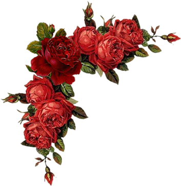 Rosas De Verônica - Flower Border Red Png (400x382)