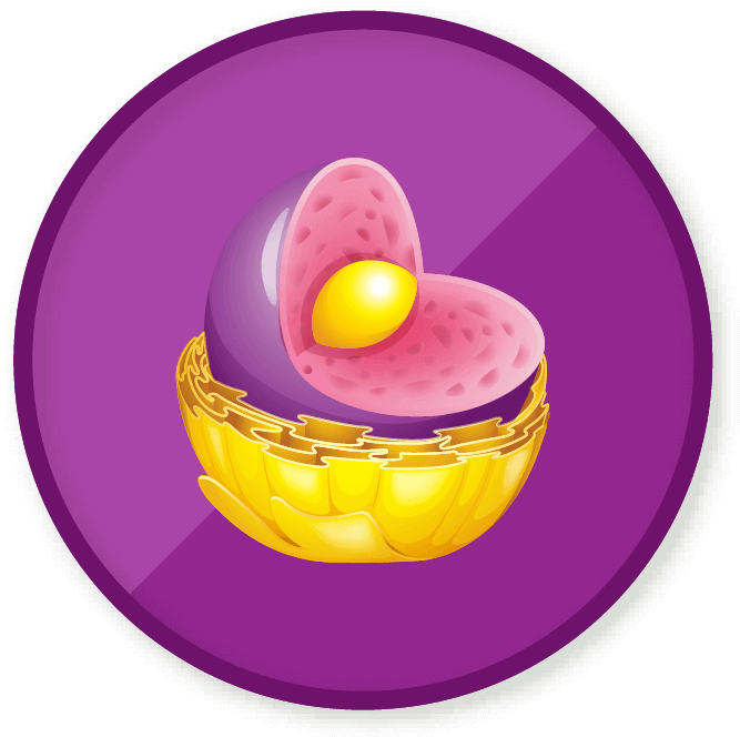 Cell Biology & Cellular Life - Cake (689x689)