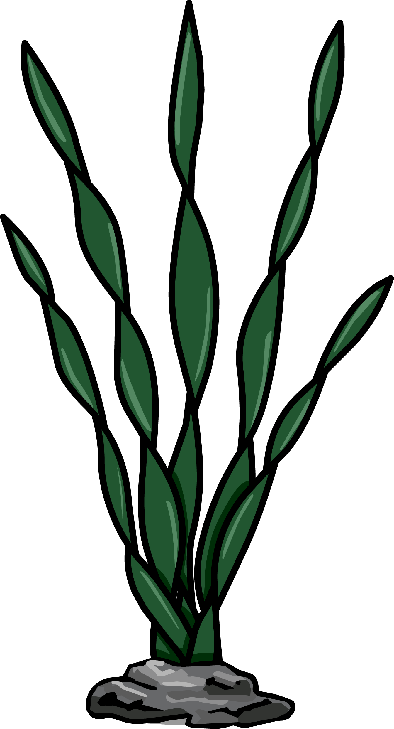 Sea Weed Sprite 001 - Sea Weed Sprite 001 (1344x2483)