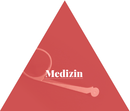Medizin Link Medizin - Ronald Serry (500x425)