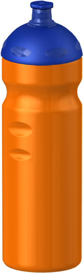 Basic 750 Ml Orange - Citrus × Sinensis (480x640)