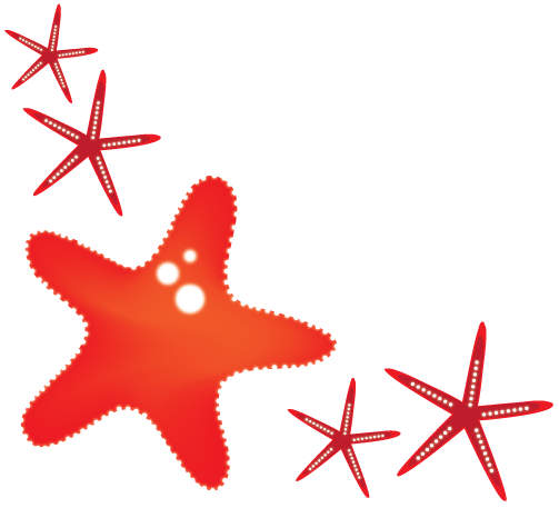Starfish Red Clip Art - Starfish (540x501)