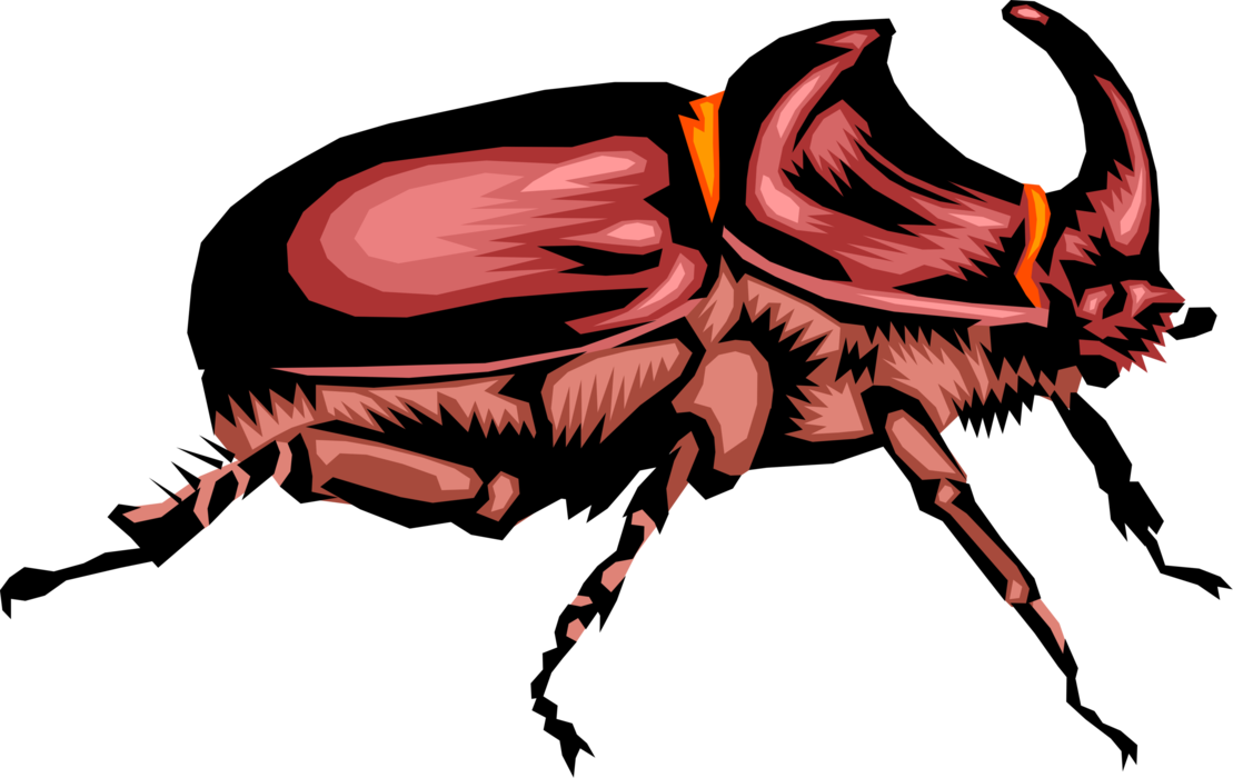 Vector Illustration Of Rhinoceros Scarab Horn Beetle - Rhinoceros Beetle (1109x700)