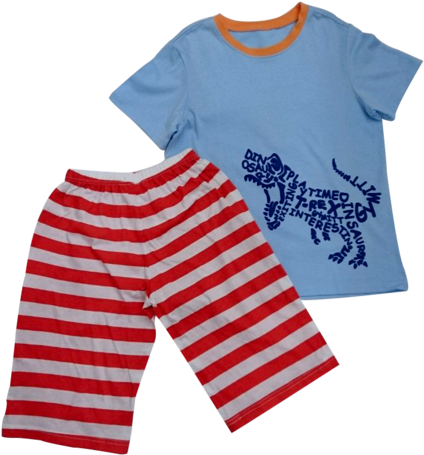 Gymmit Dino Indoor Top Bottom - Clothing (437x479)