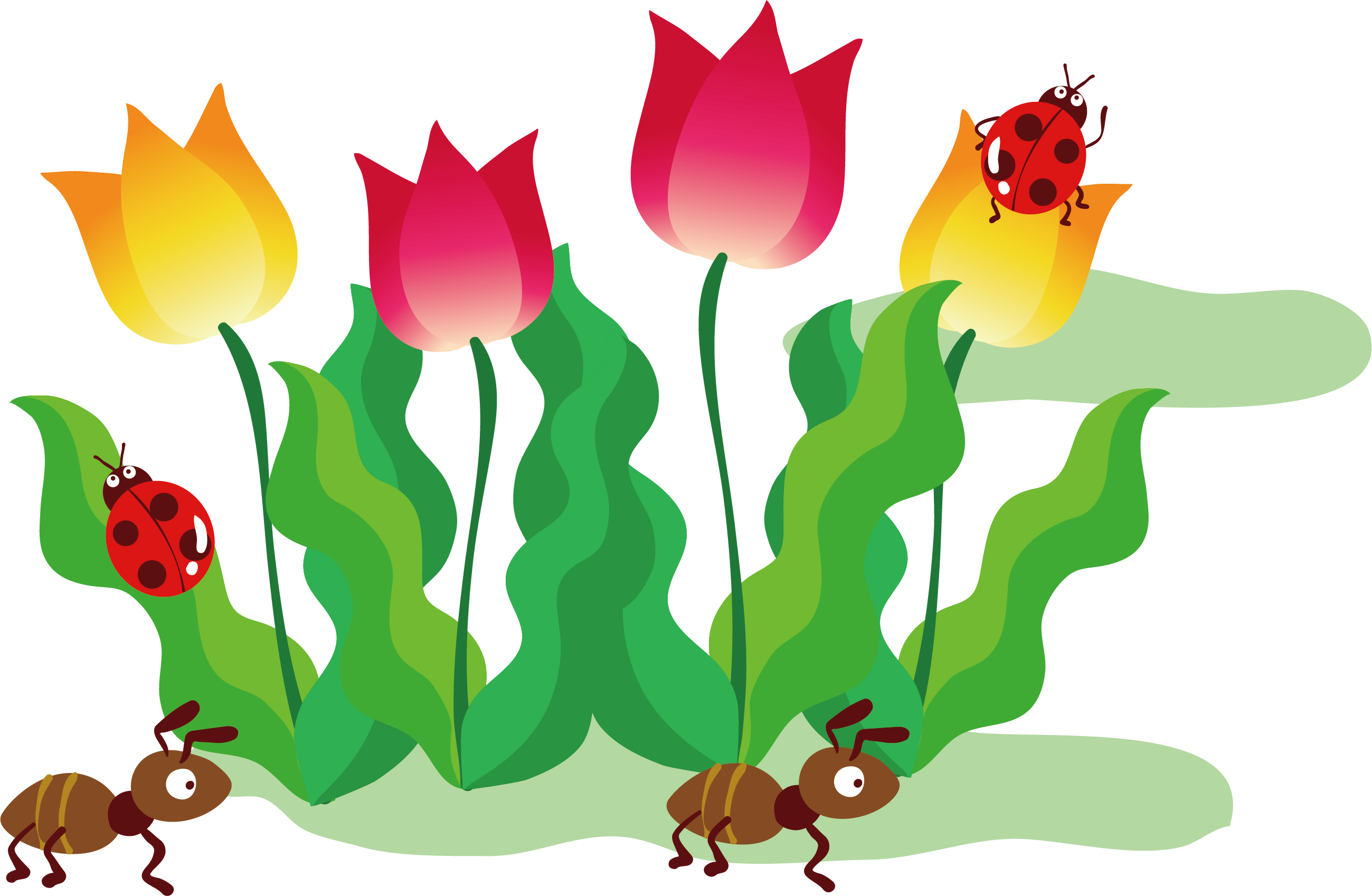Tulip Drawing Illustration - Flores Desenho Tulipas Png (2599x1697)