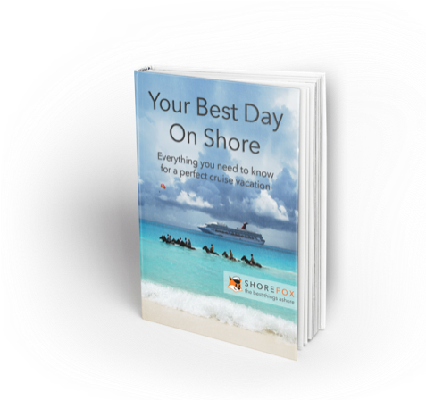 Book Cover (512x447)