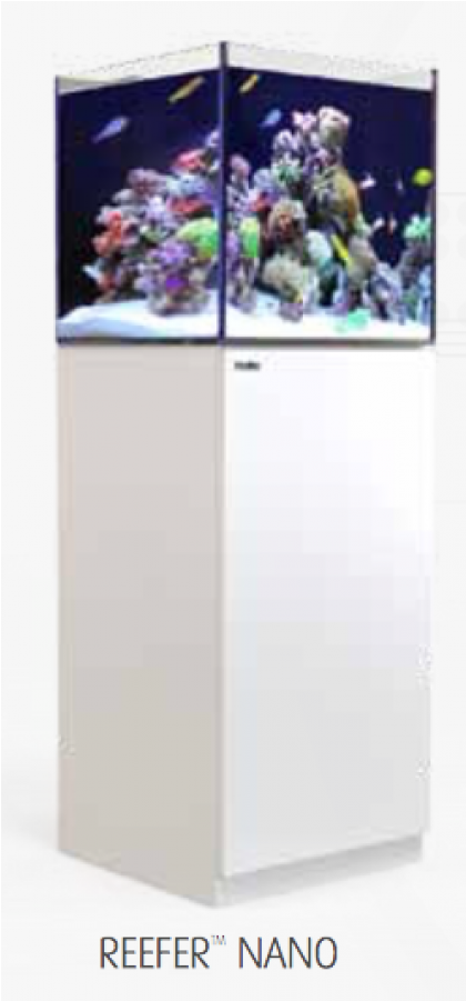 Red Sea Reefer Aquariums - Red Sea Nano Aquarium (900x900)