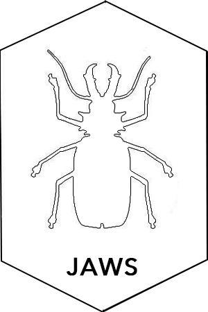 Indigo Multi - Day True (300x450)