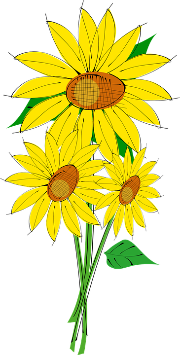 Sunflowers Clipart Bunga Matahari - Sunflower Clip Art (365x720)