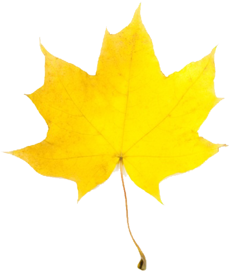 Fall Leaf - Yellow Fall Leaf Clip Art (600x600)