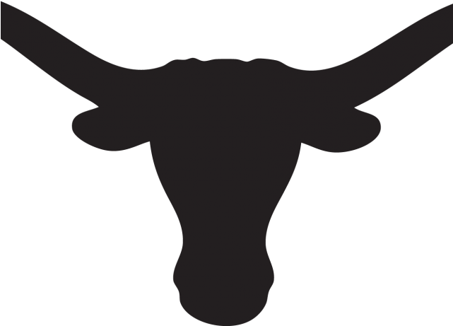 Texas Longhorn Clipart - University Of Texas At Austin (640x480)