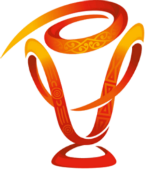 Photo - Rugby League World Cup 2017 (530x562)