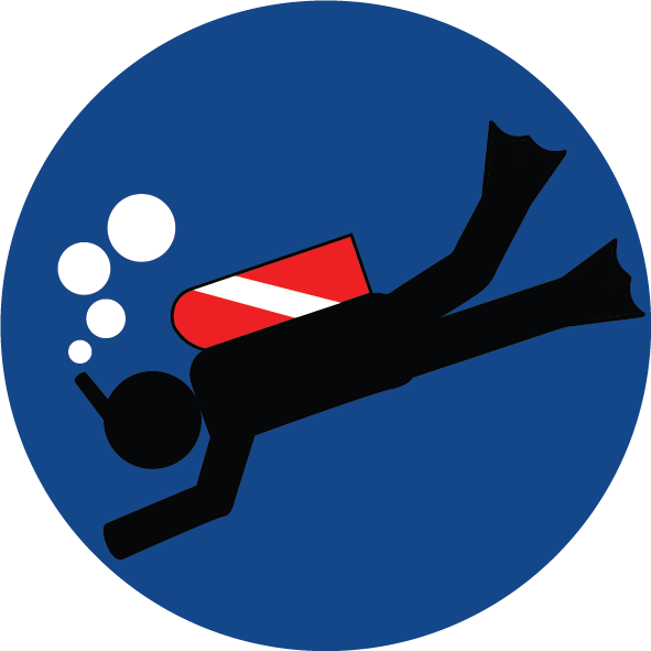 About Us - Quiz (591x591)