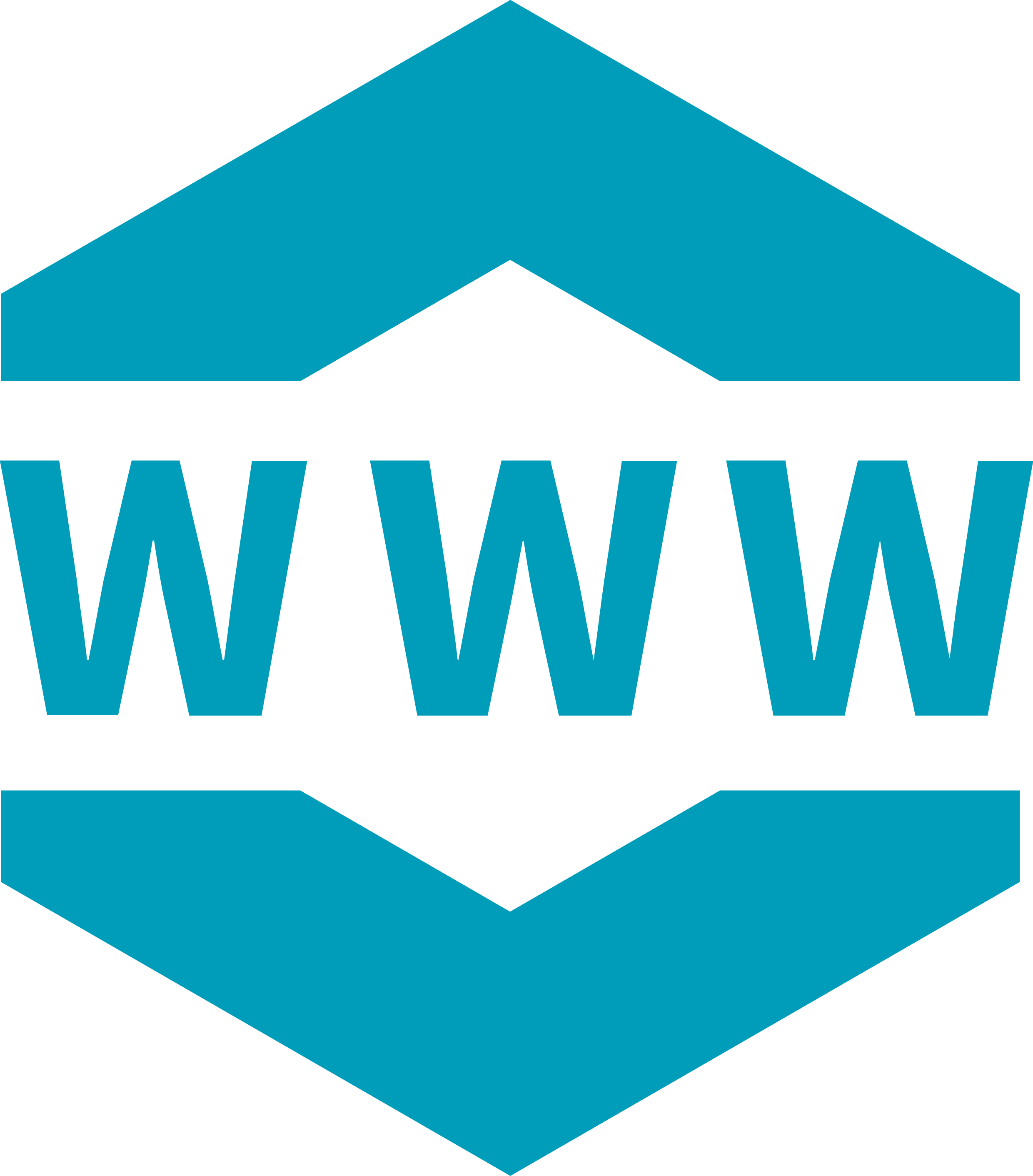 Wat Wij Doen - Web Development (2480x2823)