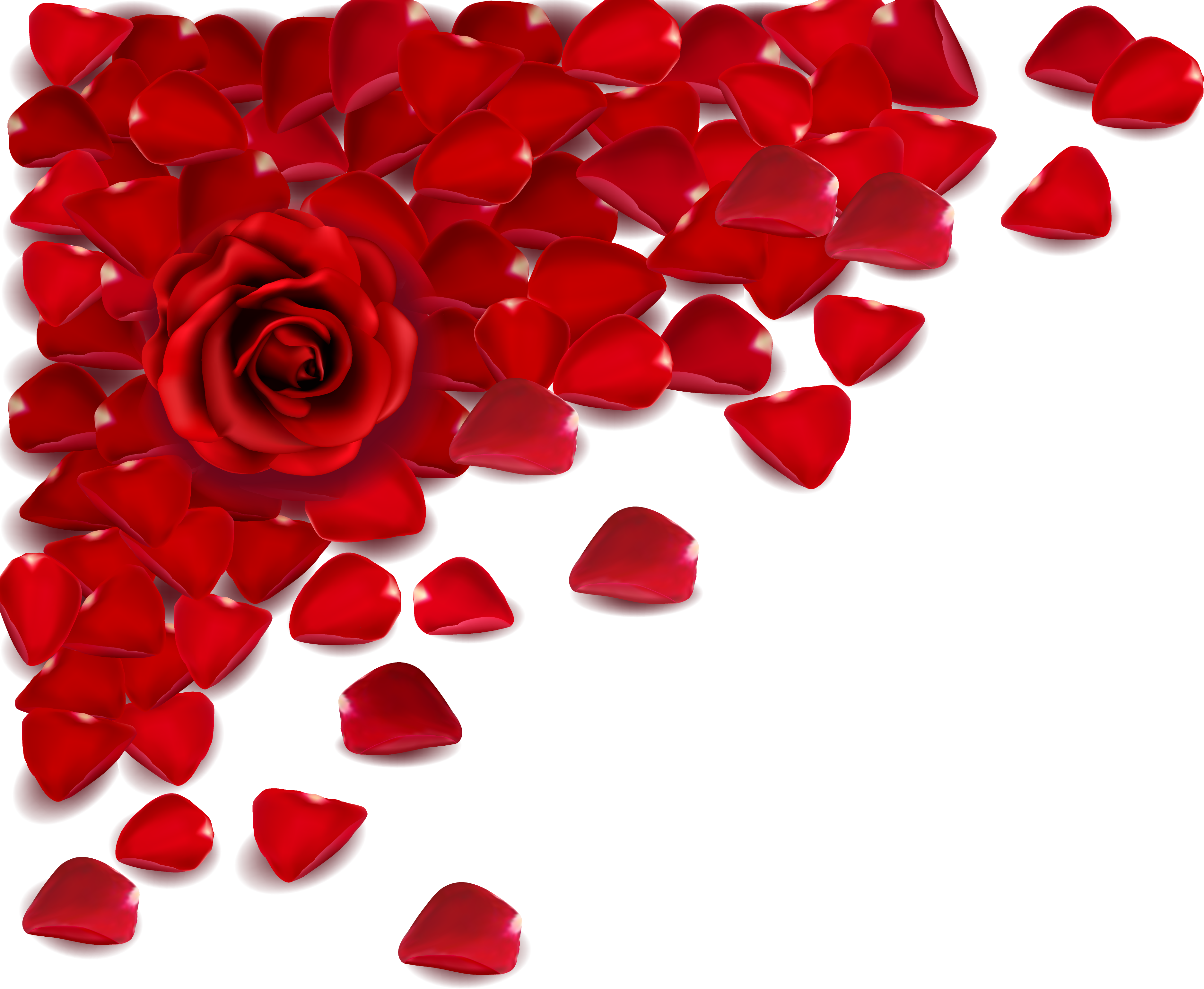 Love Valentine's Day Propose Day Romance Girlfriend - Background Designs For Flowers (3840x3184)