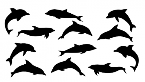 Dophin Set - Springender Delfin (500x500)