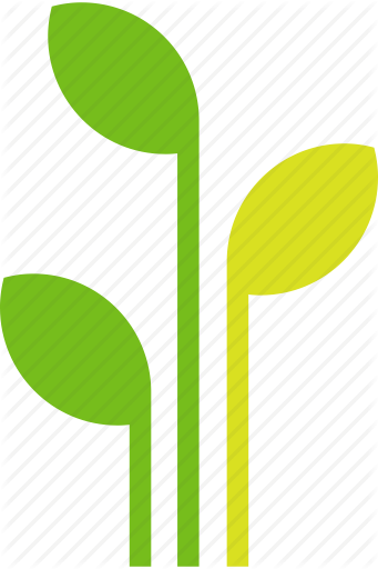 Potted Plant Icon - Plant Icon (341x512)