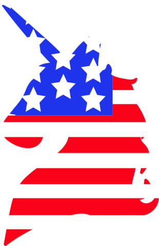 Usa Unicorn - United States Of America (310x480)