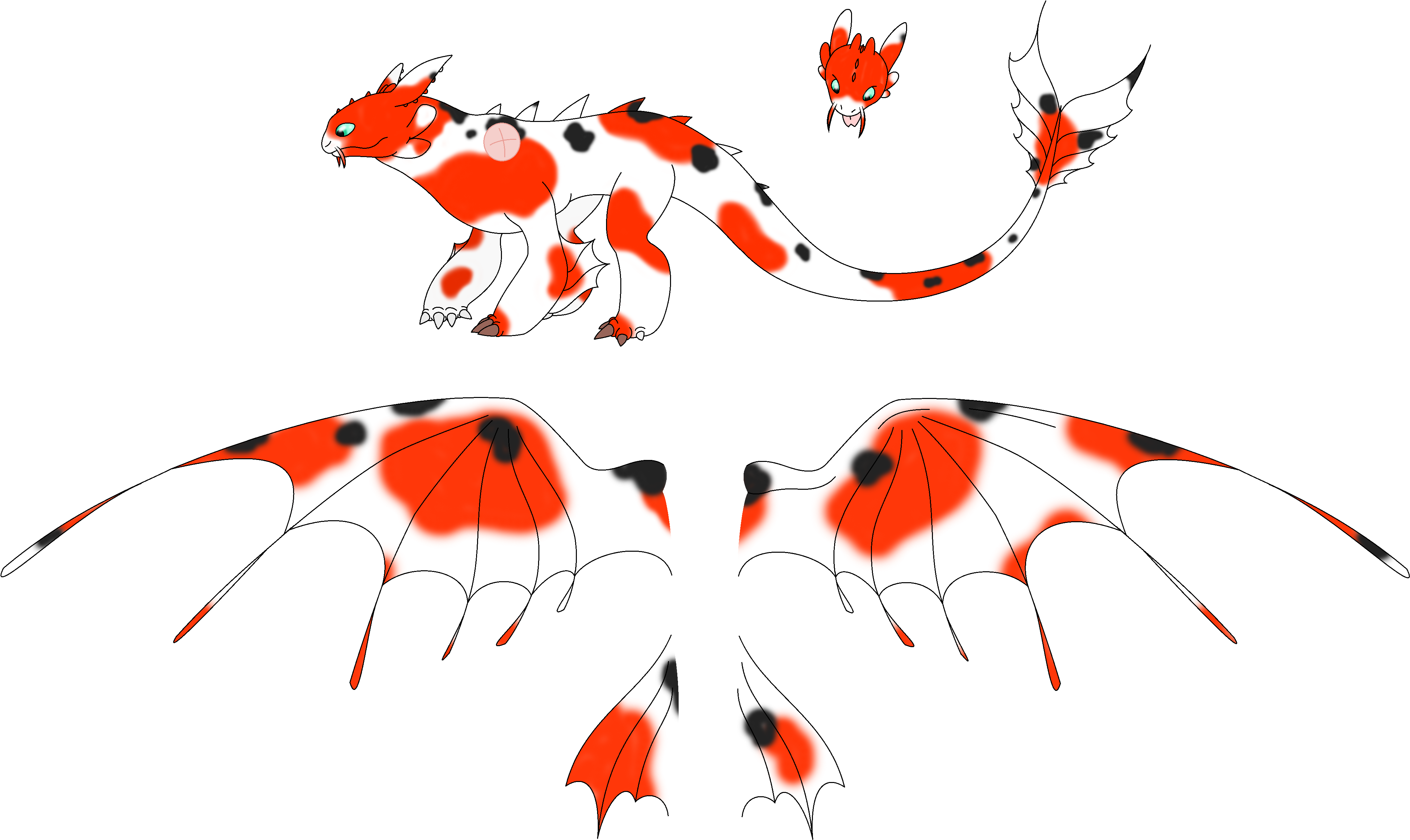 Koi Fury Are Limited - Illustration (4360x2664)