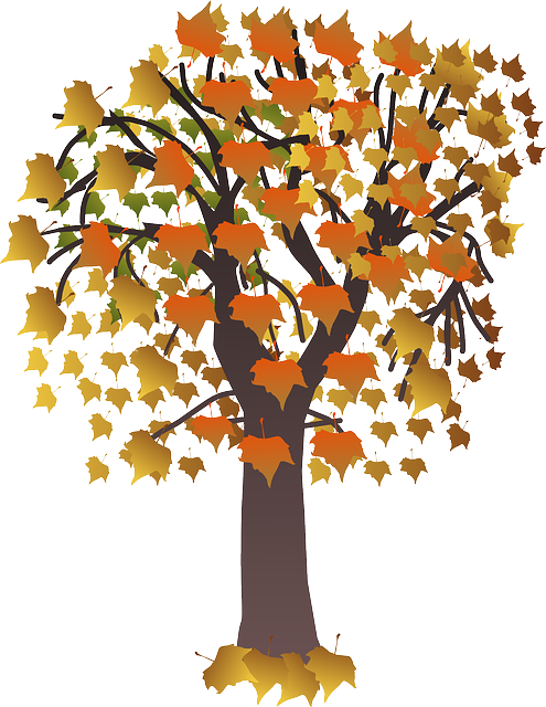 Foliage, Brown, Fall, Leaves, Nature, Orange - Maple Tree Clip Art (495x640)