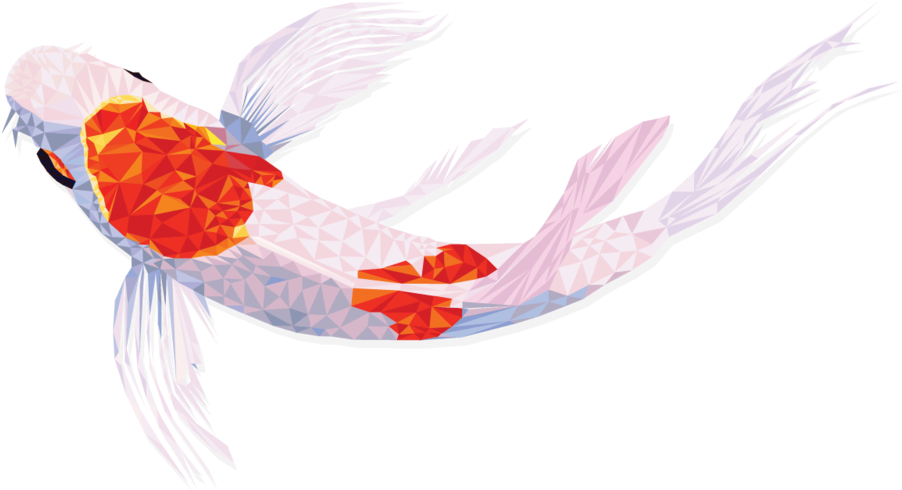Koi - Invertebrate (1000x625)