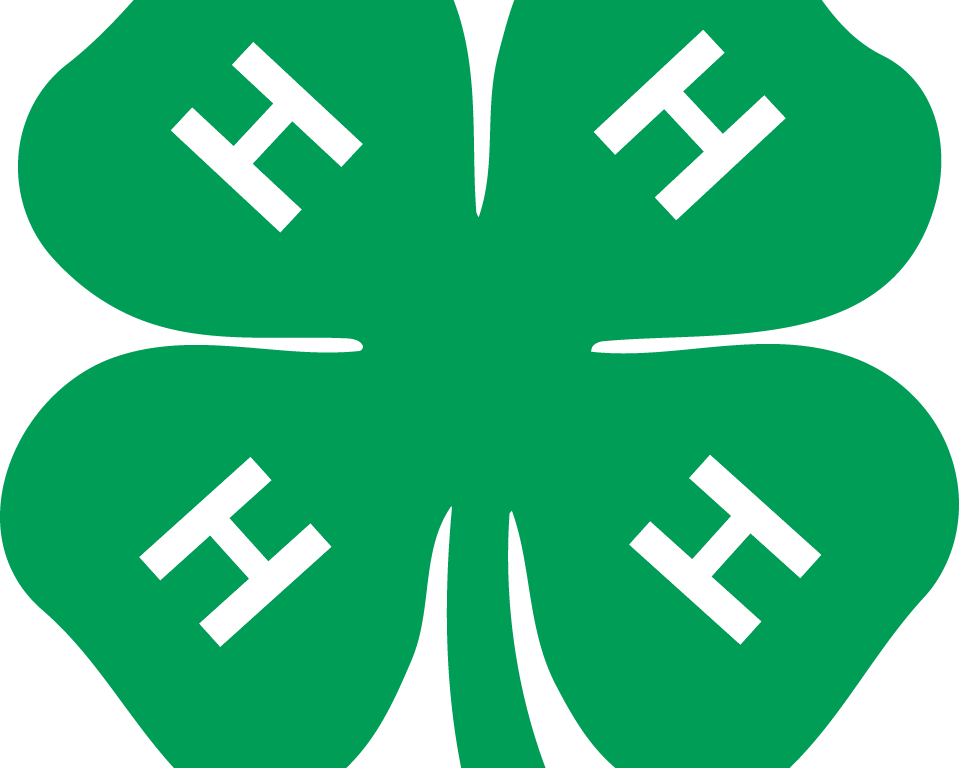 Download Enjoyable 4 H Clover Clip Art - Download Enjoyable 4 H Clover Clip Art (959x768)