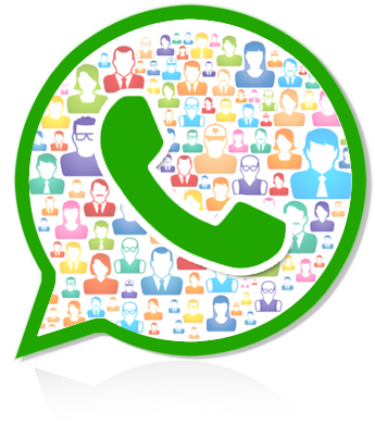 Based In Delhi, We Provide Full-suite Internet Marketing - Whats App Marketing Png (394x453)