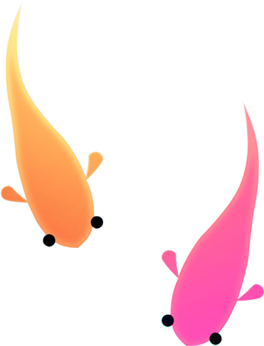 鯉 - Koi - Common Carp (500x500)
