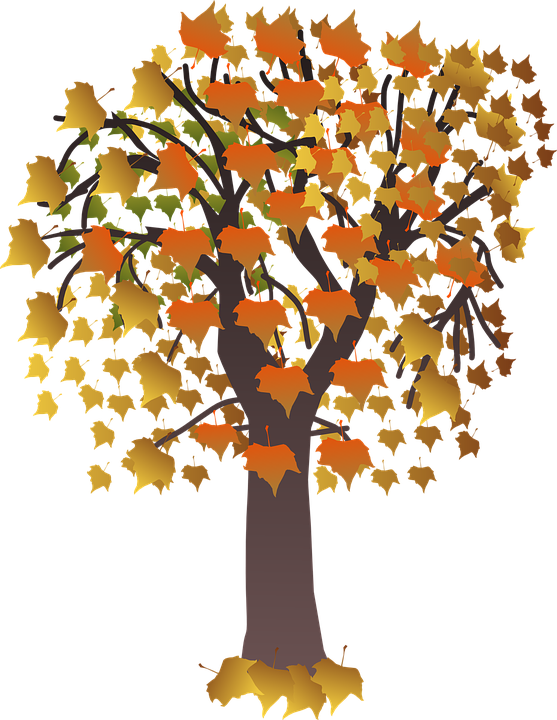 Autumn Trees Clipart 5, Buy Clip Art - Maple Tree Clip Art (557x720)