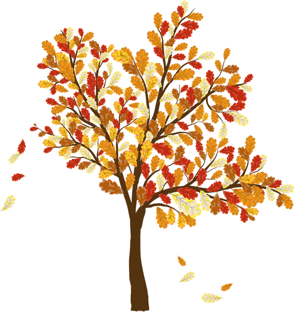 Fall Trees And Leaves Clip Art Picture Of Tree With - Lobster Gram 16-20 Lb. Peacock Amish Turkey (650x650)