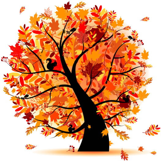 Fall Tree Clipart - Autumn Tree Vector Png (600x576)