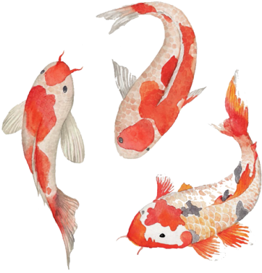 Good Peceshome With Peces Japoneses Koi - Reminisce Everything Zen Double-sided Cardstock 12"x12" (395x397)