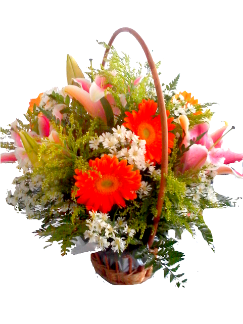 Cesta Alegria - Bouquet (800x800)
