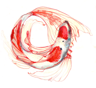 Koi Banner - Koi Fish Tumblr Transparent (400x364)
