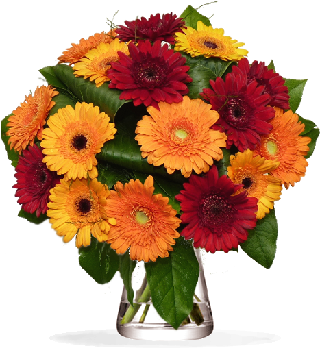 Bouquet Ecologique Orange - Flower Bouquet (800x800)
