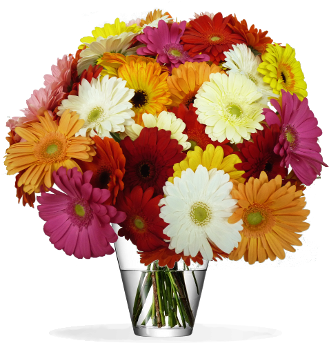 Bouquet L'improbable Multicolor - Garden Roses (800x800)