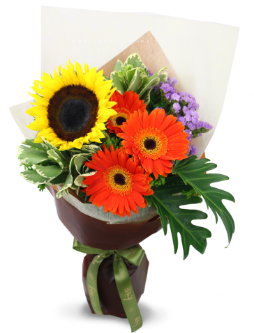 Tourne Doublesol - Transparent Sunflower Boquet (480x480)