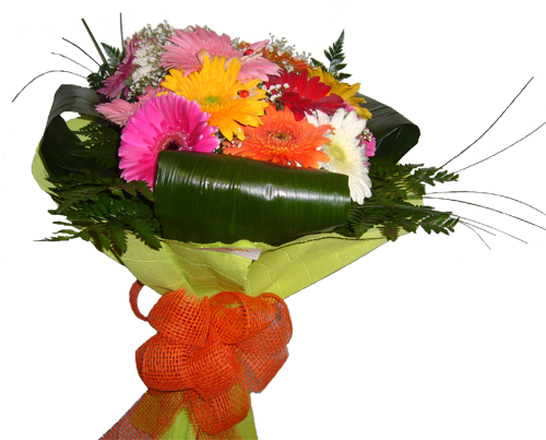 Arco-irís - Bouquet (500x403)