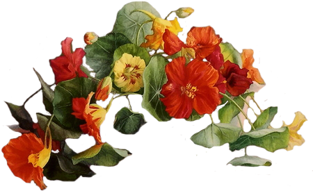 环线 - Csodás Vasárnapot (600x400)