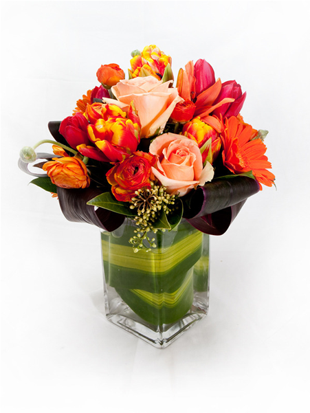Warm And Cozy - Garden Roses (600x600)