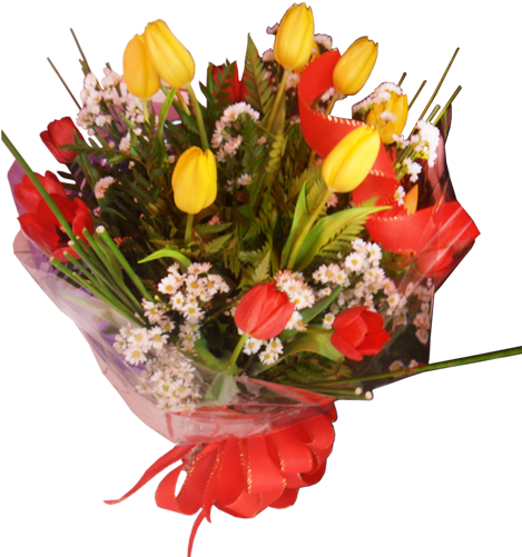 Bouquet Especial 10 Tulipas - Aspidistra (600x500)