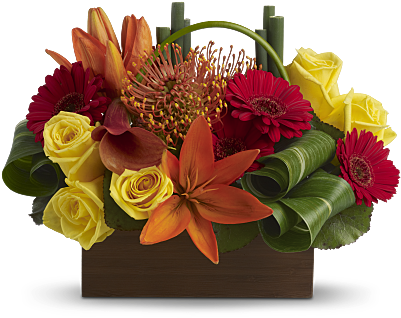 Teleflora's Bamboo Getaway - Bamboo Getaway Teleflora (400x400)