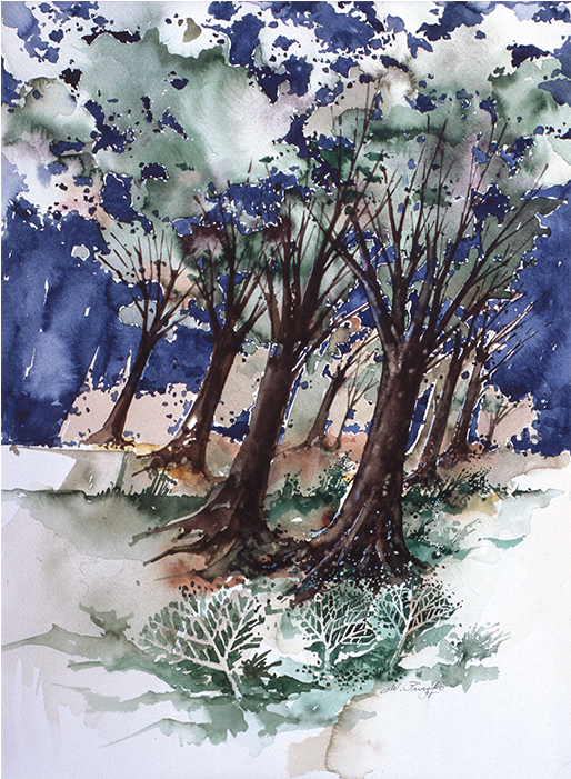 Sabal Palmetto (1180x700)